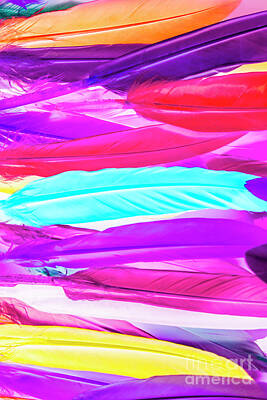 Royalty-Free and Rights-Managed Images - Feather Neon by Jorgo Photography