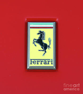 Amy Hamilton Watercolor Animals - Ferrari Emblem 8714 by Jack Schultz