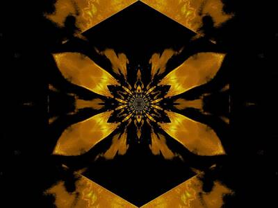 Bruce Springstein - Fire Lotus Golden Yellow 2 by Sherrie Larch
