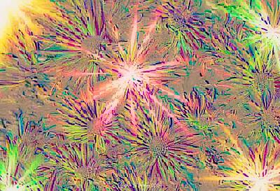 Abstract Flowers Digital Art - Fireflies and Mums 2024 04121054 by Cindy