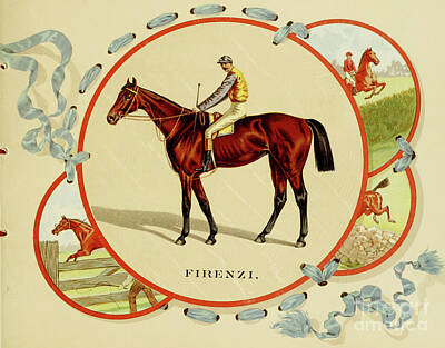 Sports Drawings - Firenzi Thoroughbred racehorse m2 by Historic illustrations