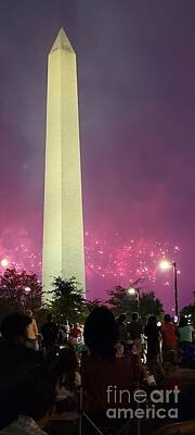 Roses Paintings - Fireworks at Washington Memorial by Rose Elaine