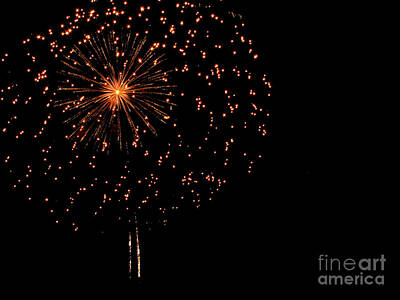 Leonardo Da Vinci - Fireworks by Gayle Melges