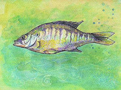 Animals Drawings - Fish  by Katherine Nutt