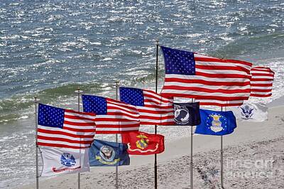 Af One - Flags of America and its Armed Forces by C S Dewitt