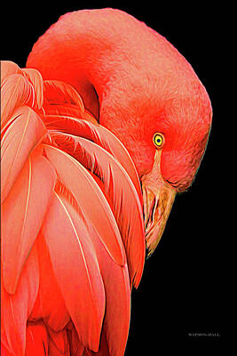Interior Designers Rights Managed Images - Flamingo Royalty-Free Image by Marlene Watson and Art Crew NZ