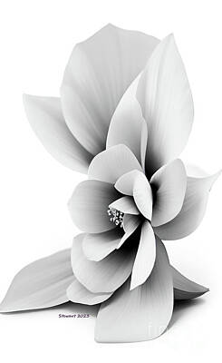 Floral Digital Art - Floral Abstract Elegance by Dr Debra Stewart