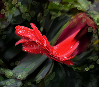Floral Digital Art - Floral Twist by Gary F Richards