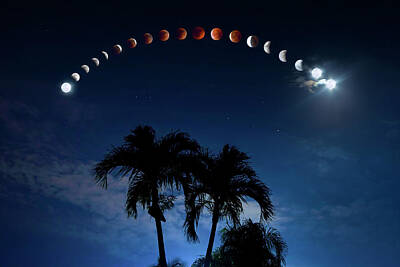 Vine Ripened Tomatoes - Flower Moon Lunar Eclipse by Mark Andrew Thomas
