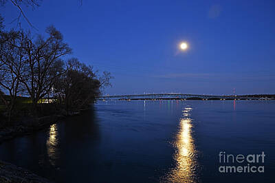 Animal Surreal - Flower Moon Rising Over The North Grand Island Bridge by Sheila Lee