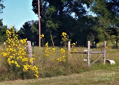 Pop Art Rights Managed Images - Flowers Along the Road Royalty-Free Image by Karen Tauber