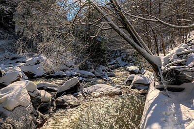 I Scream You Scream We All Scream For Ice Cream - Flowing stream in winter through snow covered woods 2 by Dan Friend