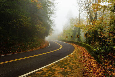 Vintage Ford - Fog and Winding Road by Aashish Vaidya