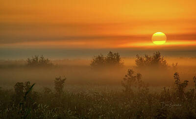 Dan Beauvais Royalty-Free and Rights-Managed Images - Foggy Coastal Plain Dawn #6885 by Dan Beauvais