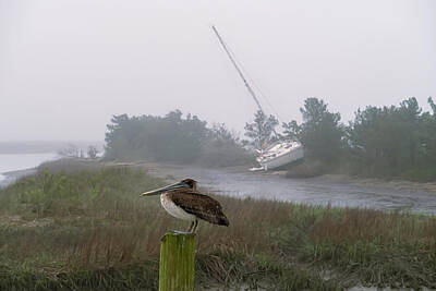 Birds Royalty Free Images - Foggy Morning Murrells Inlet 2 Royalty-Free Image by Steve Rich
