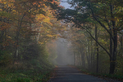 Little Mosters Rights Managed Images - Foggy Road to Spruce Knob 4 Royalty-Free Image by Robert Powell