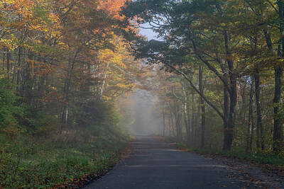 Mother And Child Animals - Foggy Road to Spruce Knob 5 by Robert Powell