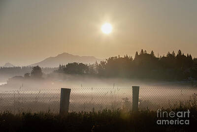 Little Mosters - Foggy Summer Morning 4 by Cindy Shebley