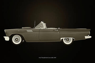 Juan Bosco Forest Animals - Ford Thunderbird Convertible Black and White by Jan Keteleer