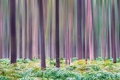 Digital Art - Forest Vibes by Manjik Pictures