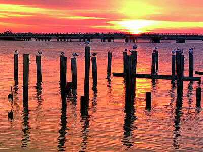 Lori A Cash Royalty-Free and Rights-Managed Images - Fort Monroe Bridge Sunrise by Lori A Cash