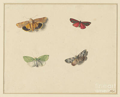 Painted Wine - Four butterflies, Anton Weiss, 1811 - 1851 by Shop Ability