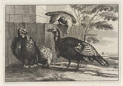 On Trend Breakfast Royalty Free Images - Four turkeys, anonymous, after Wenceslaus Hollar, after Francis Barlow, 1654  Royalty-Free Image by MotionAge Designs