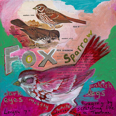 Mixed Media - Fox Sparrow by Jennifer Lommers