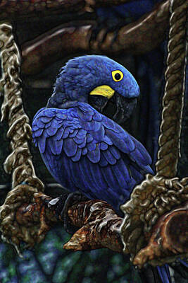 Birds Photos - Fractal Feathers Blue Parrots Dance by Gregg Ott