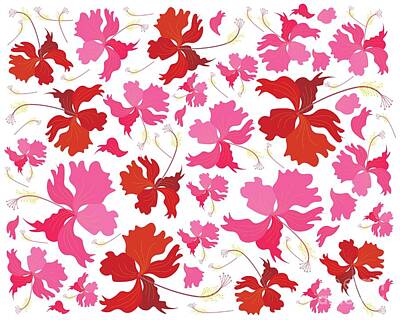 Roses Drawings - Fresh Pink and Red Hibiscus Flowers Background by Iam Nee