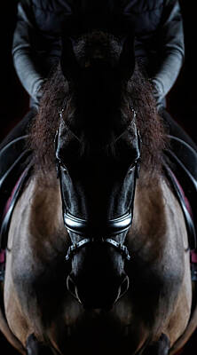 Bath Time - Friesian Symmetry by Wes and Dotty Weber