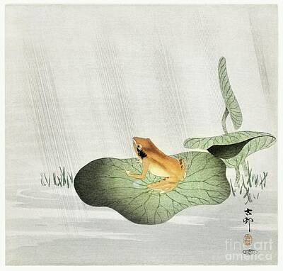 Legendary And Mythic Creatures - Frog on lotus leaf 1900 - 1930 by Ohara Koson 1877-1945 by Shop Ability