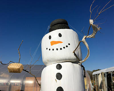 Kitchen Food And Drink Signs - Frosty, a Hay Bale Snowman - Horizontal by Bill Swartwout