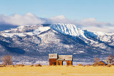 Landmarks Photos - Frosty and Weathered by Mike Lee