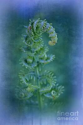 Ring Of Fire - Frosty Fern by Mary Machare