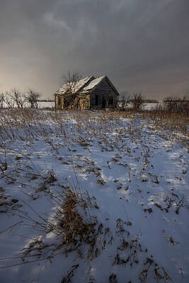 Royalty-Free and Rights-Managed Images - Frozen Bones by Aaron J Groen