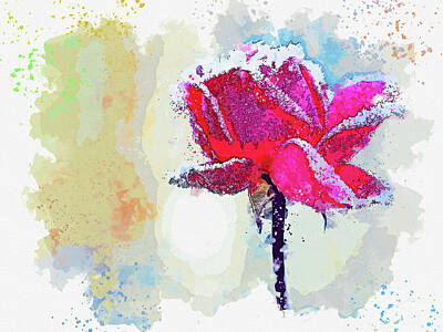 Studio Grafika Typography Royalty Free Images - Frozen Rose, watercolor, by Ahmet Asar Royalty-Free Image by Celestial Images