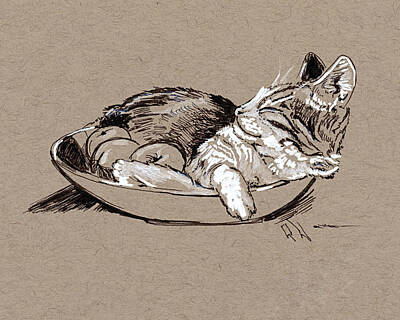 Still Life Drawings Rights Managed Images - Fruit with Cat still life Royalty-Free Image by Katherine Nutt