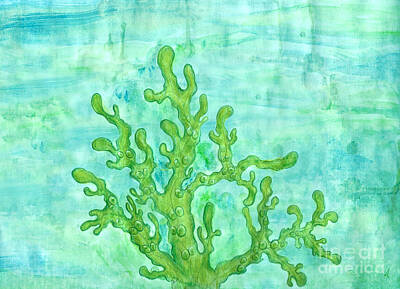Beach Drawings - Fucus vesiculosus by Algae Png
