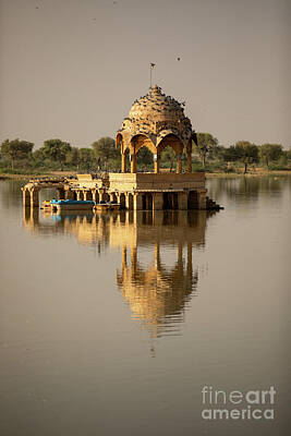 Barnyard Animals - Gadisar Lake - A Tranquil Oasis in the Heart of Rajasthan by The Storygrapher