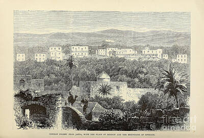 Landmarks Drawings - German Colony American Colony Near Jaffa d1 by Historic illustrations
