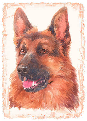 Fromage - German Shepherd 2 Dog by John Shepherd