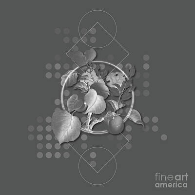 Florals Mixed Media - Ghostly Gray Apricot Botanical with Geometric Motif n.0574 by Holy Rock Design