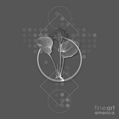 Lilies Mixed Media - Ghostly Gray Cardwell Lily Botanical with Geometric Motif n.0167 by Holy Rock Design