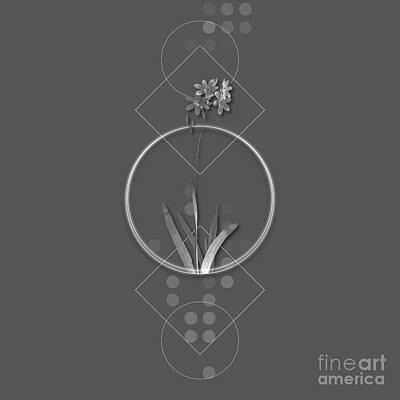 Lilies Mixed Media - Ghostly Gray Corn Lily Botanical with Geometric Motif n.0923 by Holy Rock Design