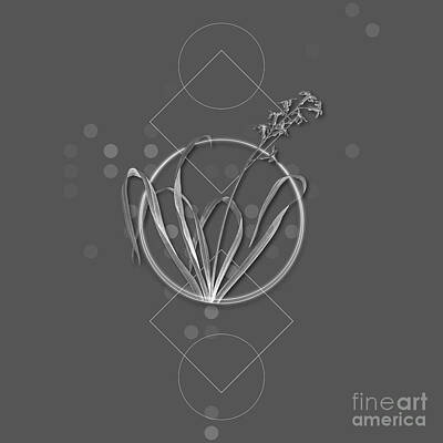 Ballerina - Ghostly Gray Dutch Hyacinth Botanical with Geometric Motif n.0406 by Holy Rock Design