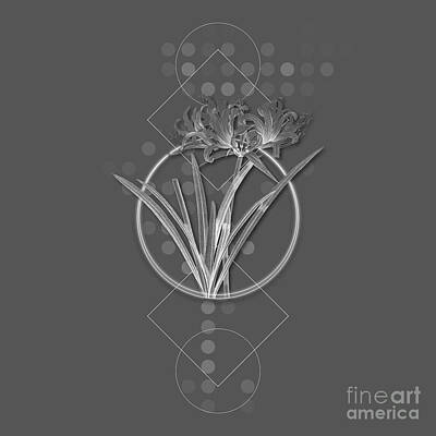 Lilies Mixed Media - Ghostly Gray Golden Hurricane Lily Botanical with Geometric Motif n.0247 by Holy Rock Design