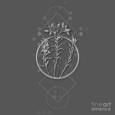 Lilies Mixed Media - Ghostly Gray Lily of the Incas Botanical with Geometric Motif n.0153 by Holy Rock Design