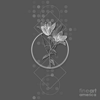 Lilies Mixed Media - Ghostly Gray Orange Bulbous Lily Botanical with Geometric Motif n.0467 by Holy Rock Design