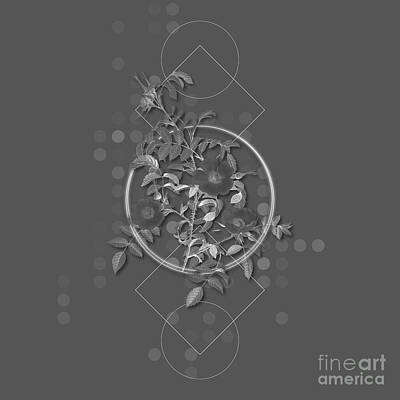 Unicorn Dust - Ghostly Gray Reddish Rosebush Botanical with Geometric Motif n.0300 by Holy Rock Design
